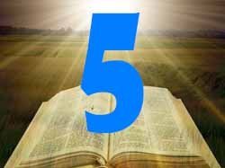 numerology bible number 5